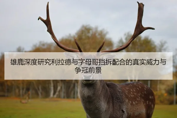 雄鹿深度研究利拉德与字母哥挡拆配合的真实威力与争冠前景